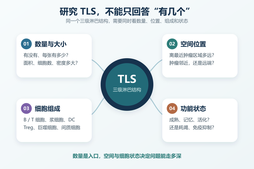 研究 TLS，为什么不能只看“有没有”和“有多少”？配图 1
